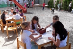 IMG-8e37dd390b277d1da4946cb1e28a5ad0-V